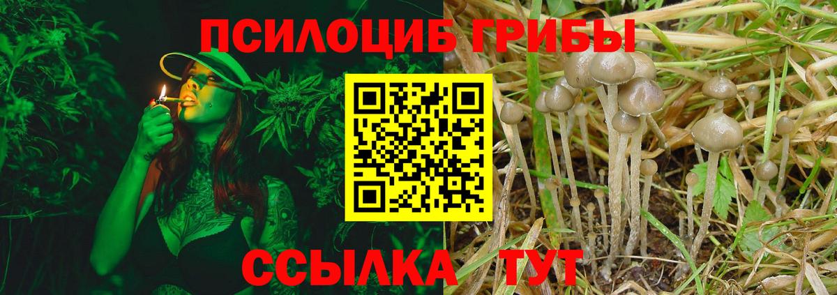 Галлюциногенные грибы MAGIC MUSHROOMS Улан-Удэ