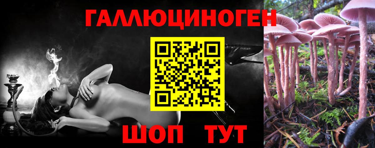 Псилоцибиновые грибы мухоморы  Галлюциногенные грибы Psilocybine cubensis  Вход с VPN  Улан-Удэ 
